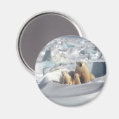 Aimant Ajouter SLOGAN pour sauver les ours polaires arcti (Recto/Verso)