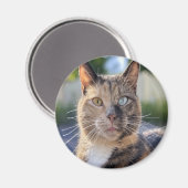 Aimant Ajouter une Personnaliser photo de chat (Recto/Verso)