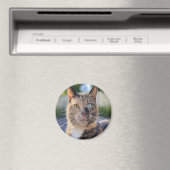Aimant Ajouter une Personnaliser photo de chat (In Situ (Lave-vaisselle))