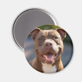 Aimant Ajouter une Personnaliser photo Pit Bull (Recto/Verso)