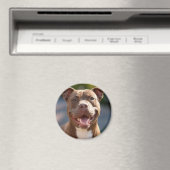 Aimant Ajouter une Personnaliser photo Pit Bull (In Situ (Lave-vaisselle))