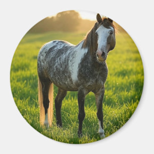 Aimant Ajouter une photo de cheval Personnaliser