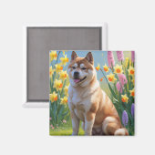 Aimant Akita Dog Fleurs de printemps Peinture (Recto/Verso)