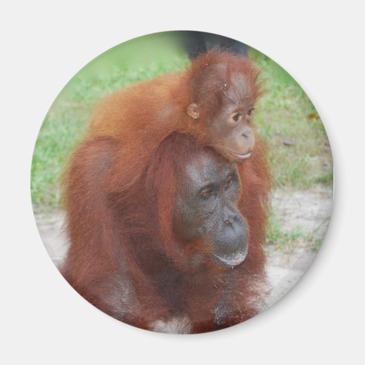Aimant Akmad et Baby Boy (Devant)