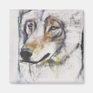 Aimant Al Lupo de Processo