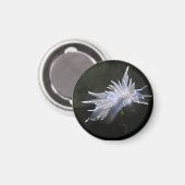 Aimant Alabaster Nudibranche (Recto/Verso)