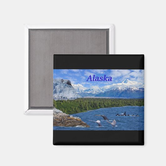 Aimant Alaska (Recto/Verso)