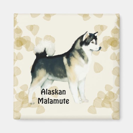 Aimant Alaskan Malamute (Devant)