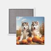 Aimant Alaskan Malamute Chiot Automne Citrouille délice (Recto/Verso)