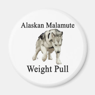 Aimant Alaskan Malamute Poids Tirer