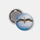 Aimant Albatros (Recto/Verso)