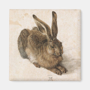 Aimant Albrecht Dürer - Junger Hase (Young Hare), 1502