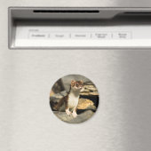 Aimant Alerte Weasel (In Situ (Lave-vaisselle))