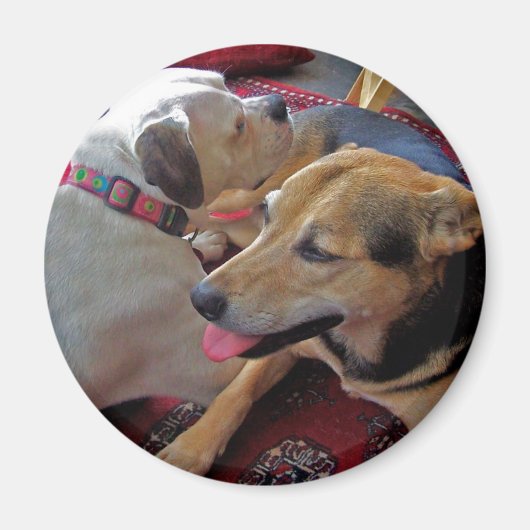 Aimant Alfie & Holly : Best Buds (Devant)
