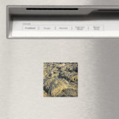 Aimant algues (In Situ (Lave-vaisselle))