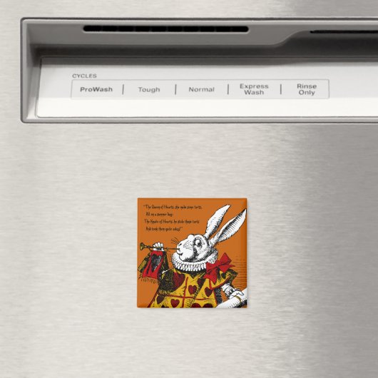 Aimant Alice au pays des merveilles (In Situ (Lave-vaisselle))