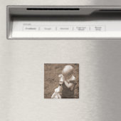 Aimant Alimentation de l'aimant de chèvre (In Situ (Lave-vaisselle))