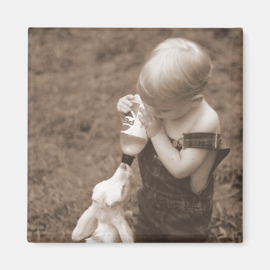 Aimant Alimentation de l'aimant de chèvre (Devant)