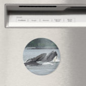 Aimant Alimentation des baleines à bosse (In Situ (Lave-vaisselle))