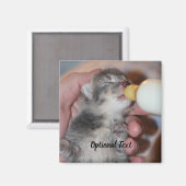 Aimant Alimentation en bouteille Secourt nouveau-né Tabby (Recto/Verso)