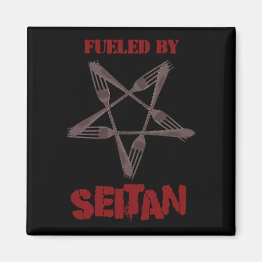 Aimant Alimenté par Seitan (Devant)