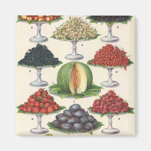 Aimant Aliments Anciens Fruits Assortis sur Plateaux pour