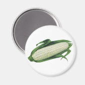 Aimant Aliments anciens Légumes Maïs blanc en épi (Recto/Verso)