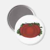 Aimant Aliments Anciens, Tomate Mûre, Légumes et Fruits (Recto/Verso)