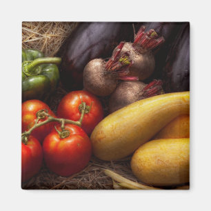 Aimant Aliments - Poivrons, Tomates, Courges et Navets