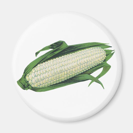 Aimant Aliments vintage Légumes Maïs blanc en épi (Devant)