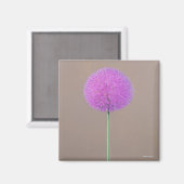 Aimant Alium (Recto/Verso)