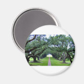 Aimant Allée de chêne (Recto/Verso)