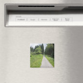 Aimant Allemagne, Thuringe, chemin en forêt (In Situ (Lave-vaisselle))