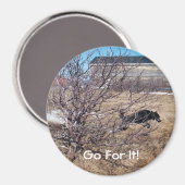 Aimant Allez-Y ! (Recto/Verso)