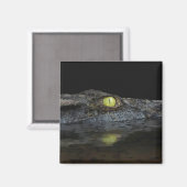 Aimant Alligator américain (Recto/Verso)