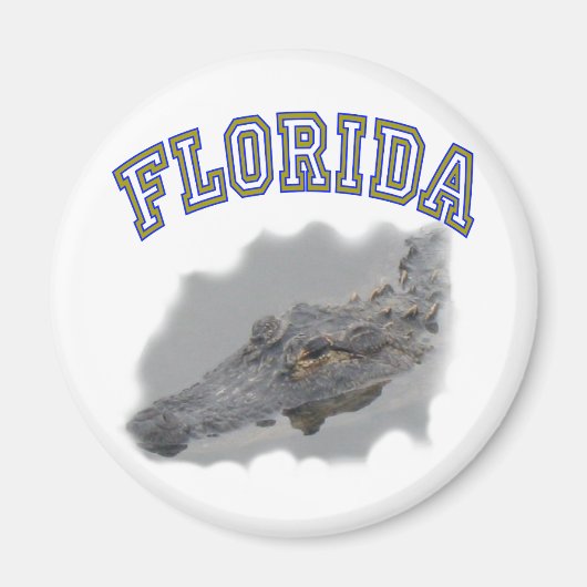 Aimant Alligator de Floride (Devant)