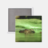 Aimant Alligator Sortant de l'Eau (Recto/Verso)