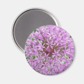 Aimant Allium pourpre (Recto/Verso)