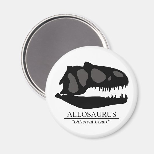 Aimant Allosaurus (Recto/Verso)