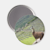 Aimant allure de llama (Recto/Verso)