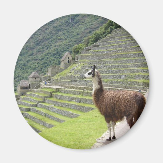 Aimant allure de llama (Devant)