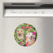 AIMANT ALOHA ! (In Situ (Lave-vaisselle))