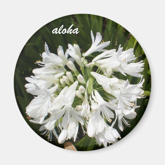 Aimant aloha fleurs blanches (Devant)