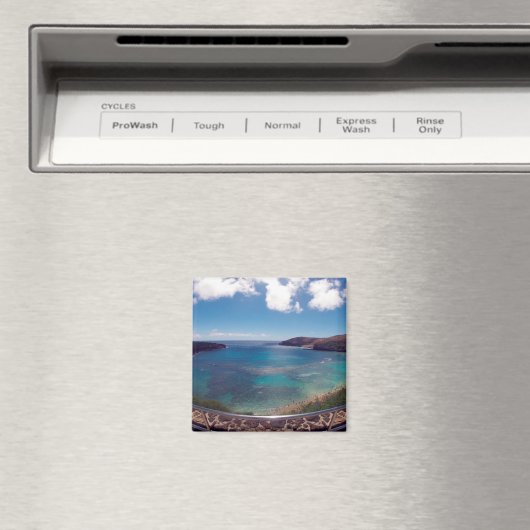 Aimant Aloha Hanauma (In Situ (Lave-vaisselle))