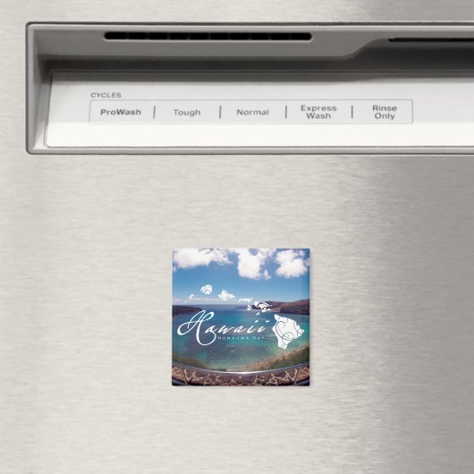 Aimant Aloha Hanauma (In Situ (Lave-vaisselle))