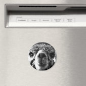 Aimant Alpaca (In Situ (Lave-vaisselle))