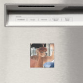 Aimant Alpaca (In Situ (Lave-vaisselle))