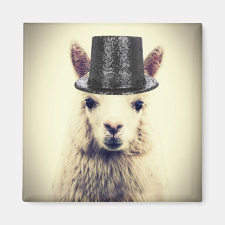 Aimant Alpaca avec un haut-de-forme
