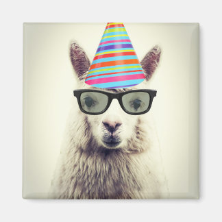 Aimant Alpaca dans les lunettes et Casquette de fête