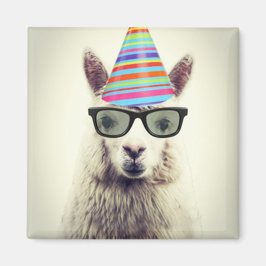 Aimant Alpaca dans les lunettes et Casquette de fête (Devant)